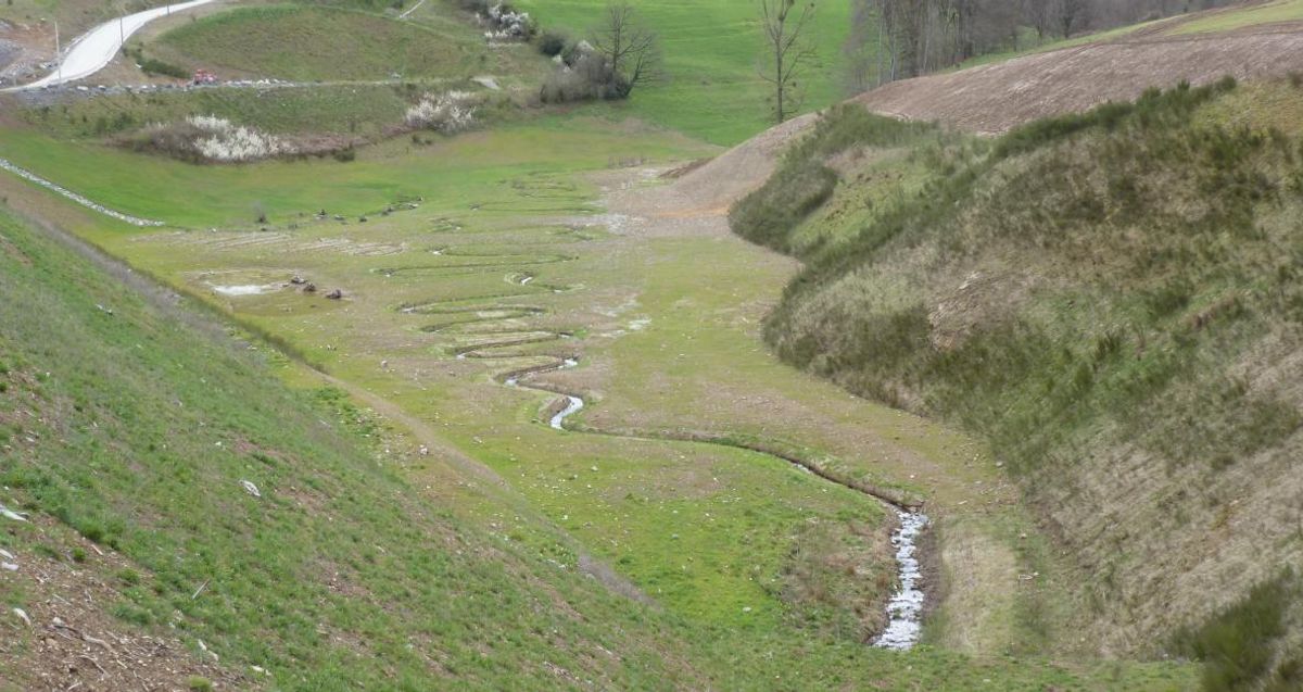 Soutien de projets en faveur de la biodiversité