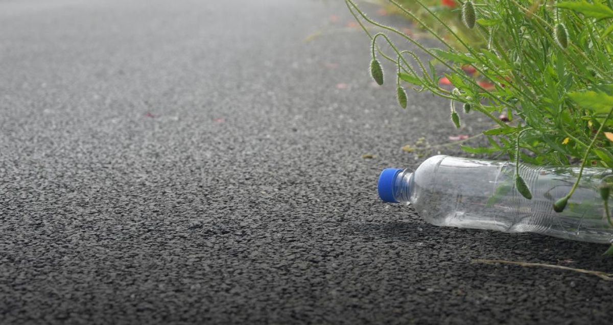 Sensibilisation au respect de l’environnement